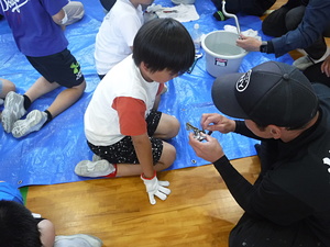 蛇口の中身ってこんな感じなの？